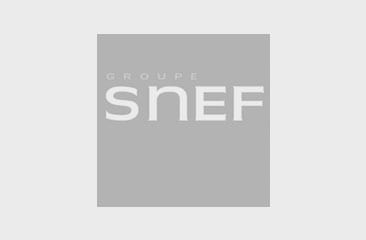 logo snef